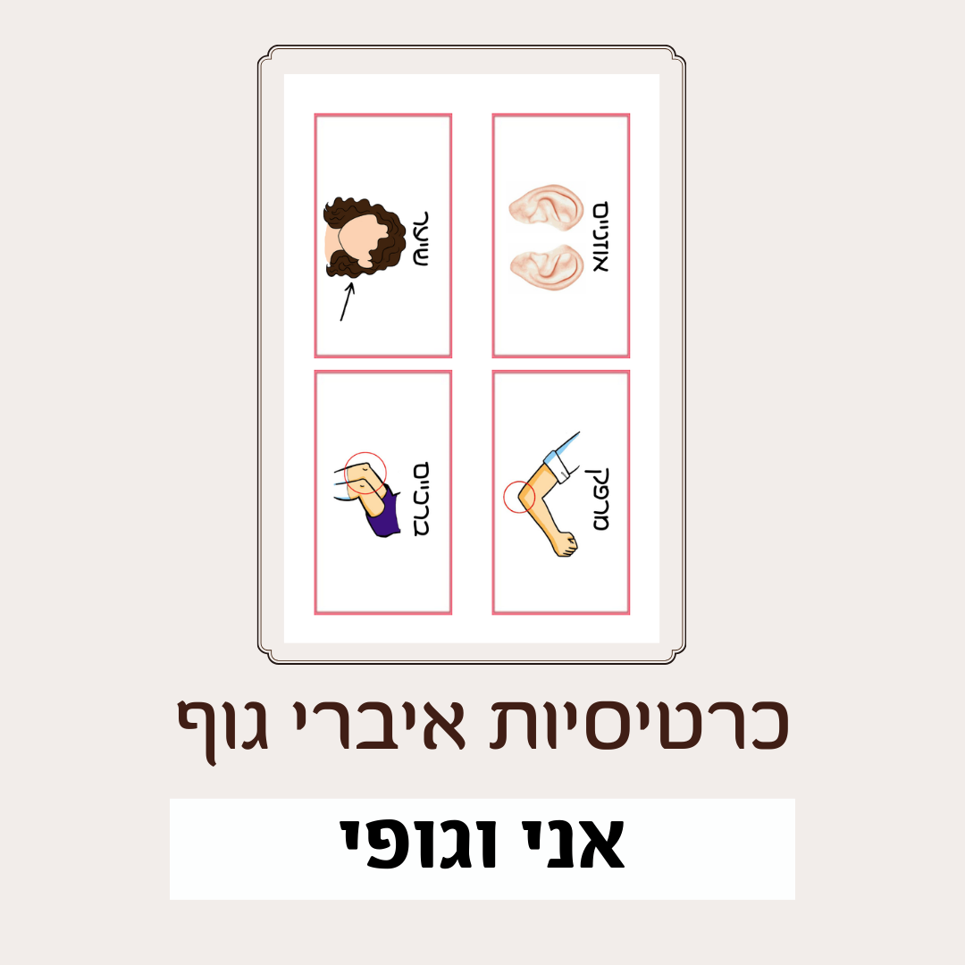 איברי גוף